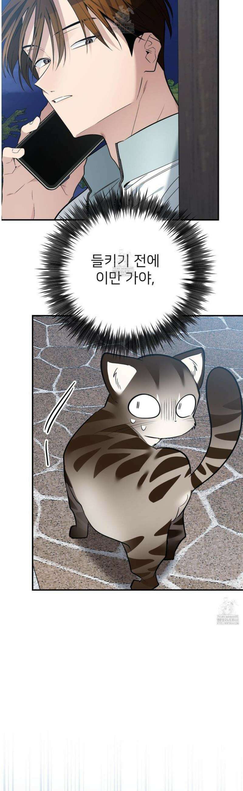 아기 삵을 낳아줘, 나 미치는 꼴 보기 싫으면! 12화 11