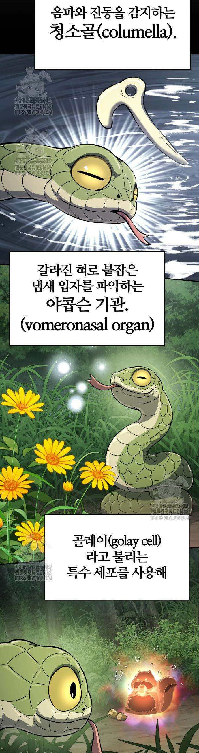 파브르 in 사천당가 59화 5