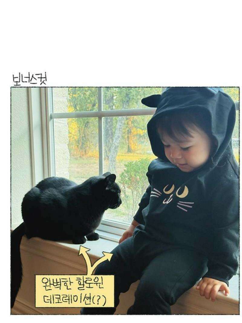 마님이네 미국 시골집 이야기 229화 할로윈 준비하자! 5