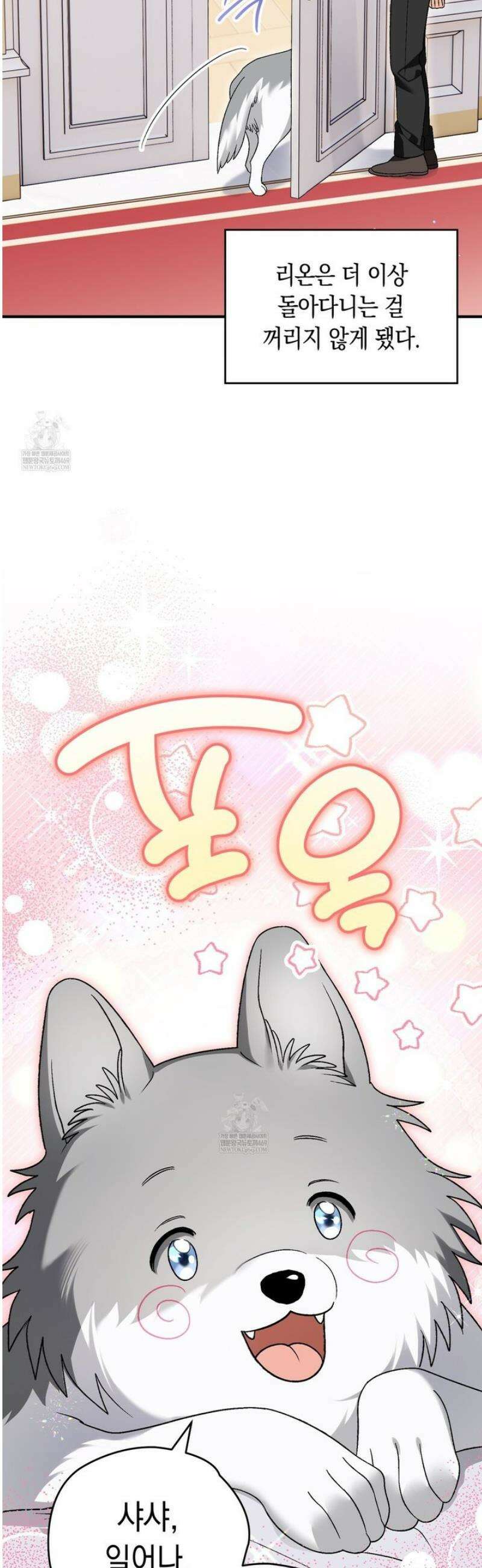 사랑하는 나의 늑대에게 19화 2
