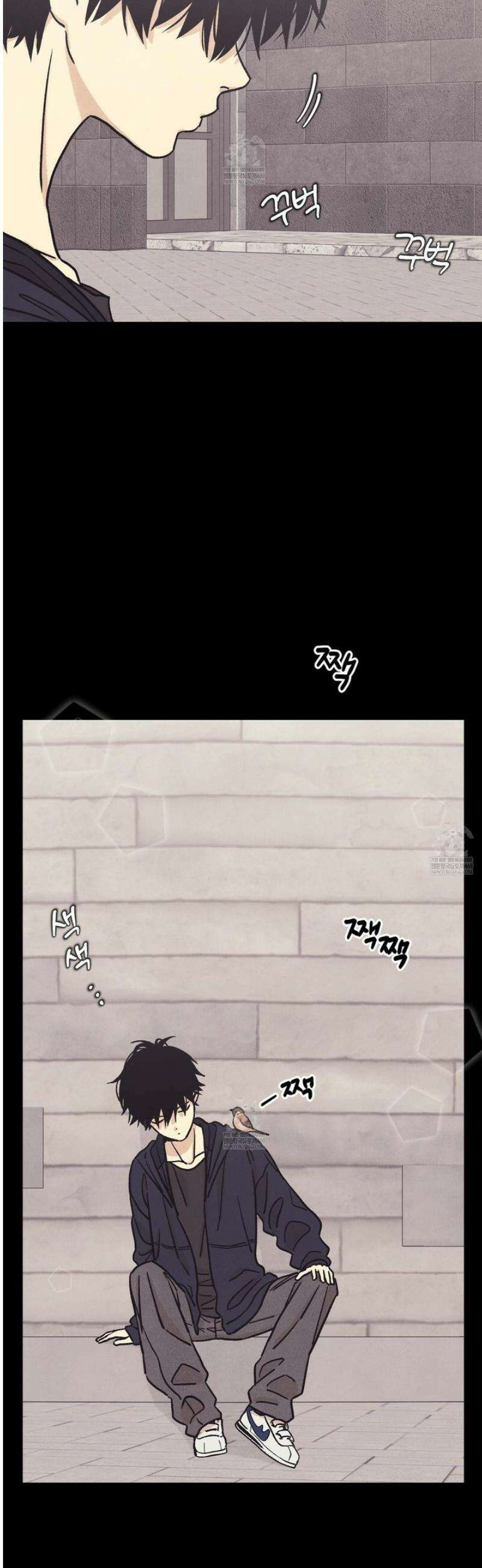 작전명 마레오 31화 2