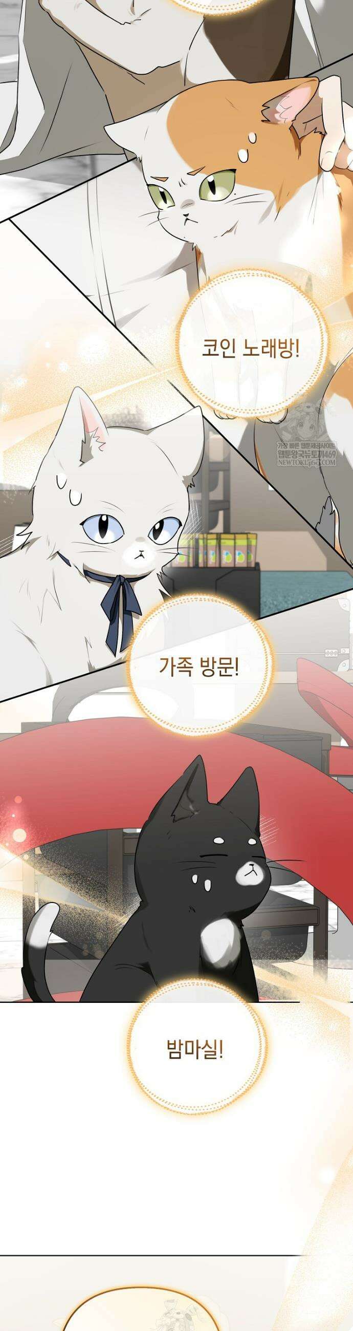 오늘부로 다섯 남자의 집사가 되었습니다 1화 6