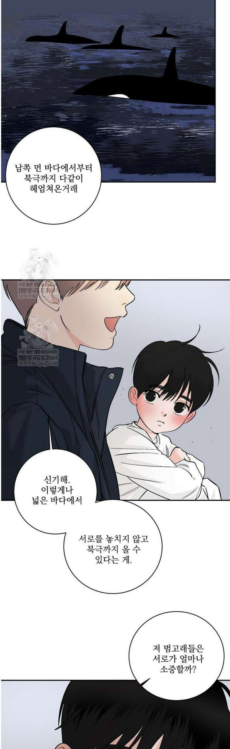 사건명 해일: 범고래 사냥법 40화 20