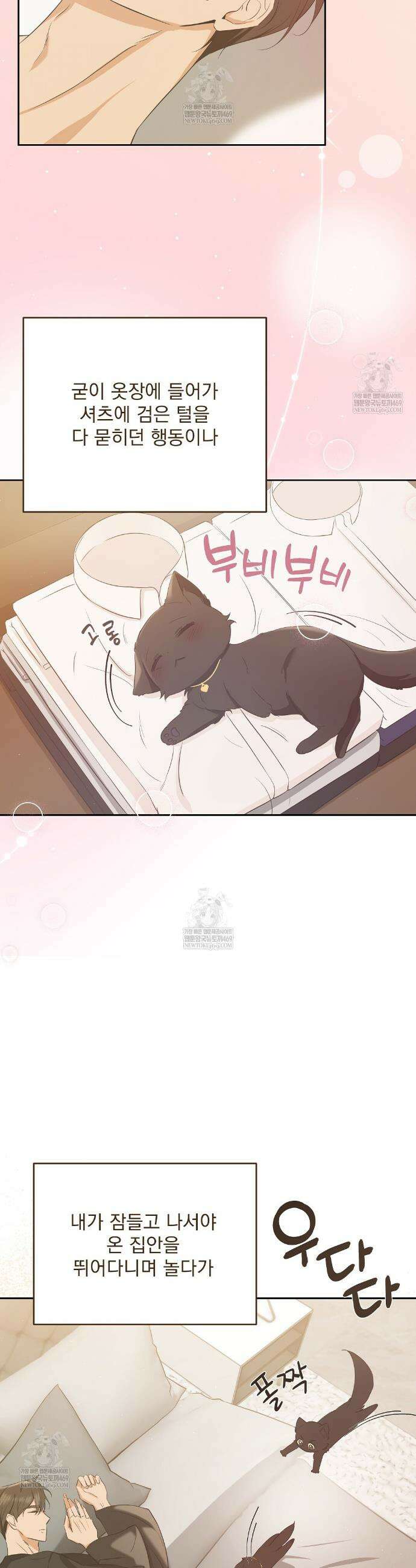 고양이 테라피 4화 7