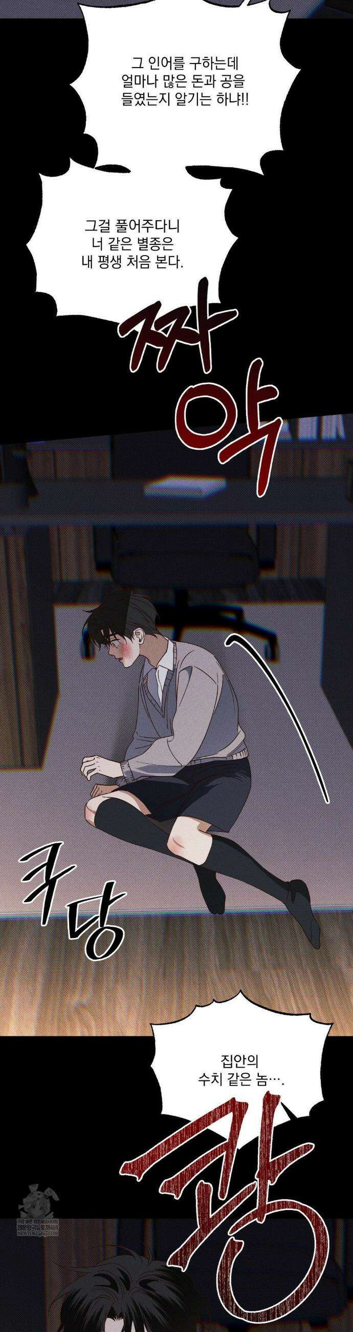 인어의 늪 41화 18