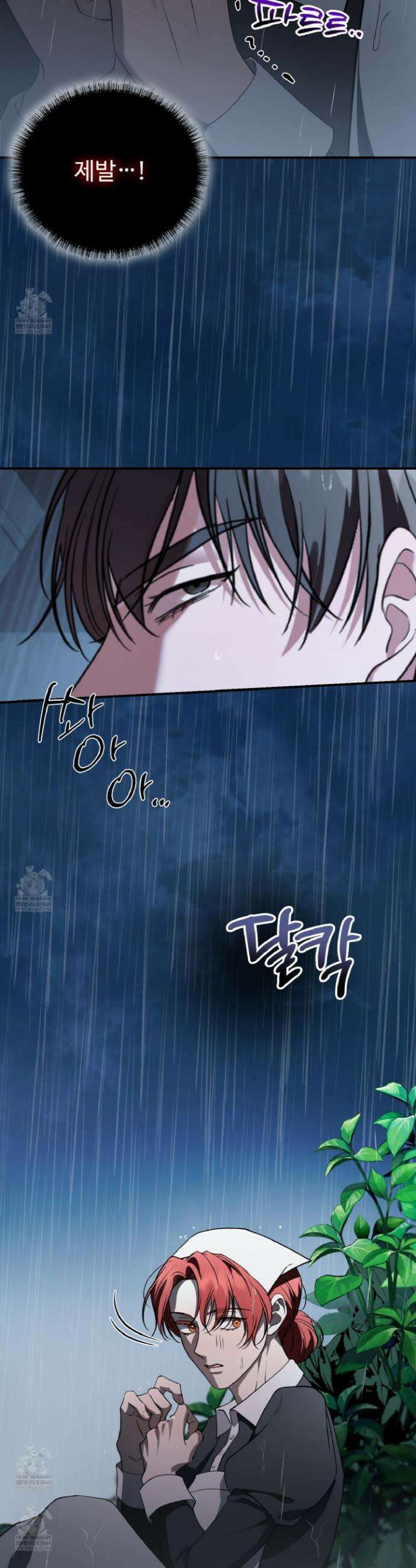 오윈 백작의 절륜 노예 14화 3