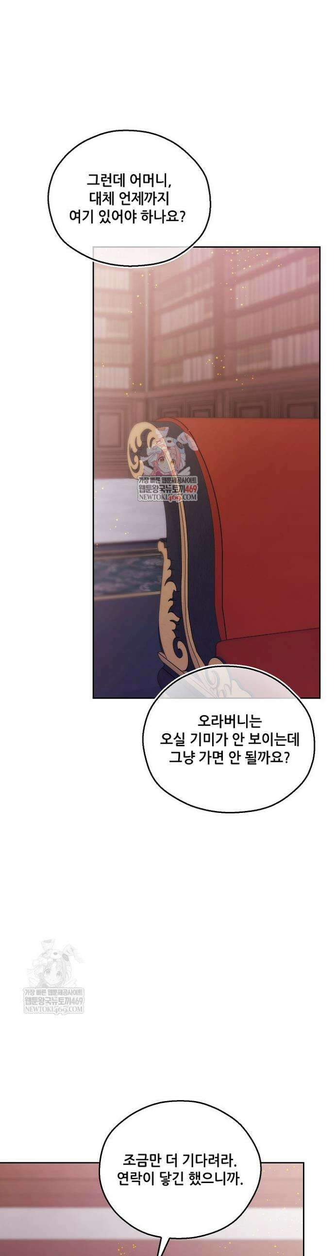 아도니스 295화 1