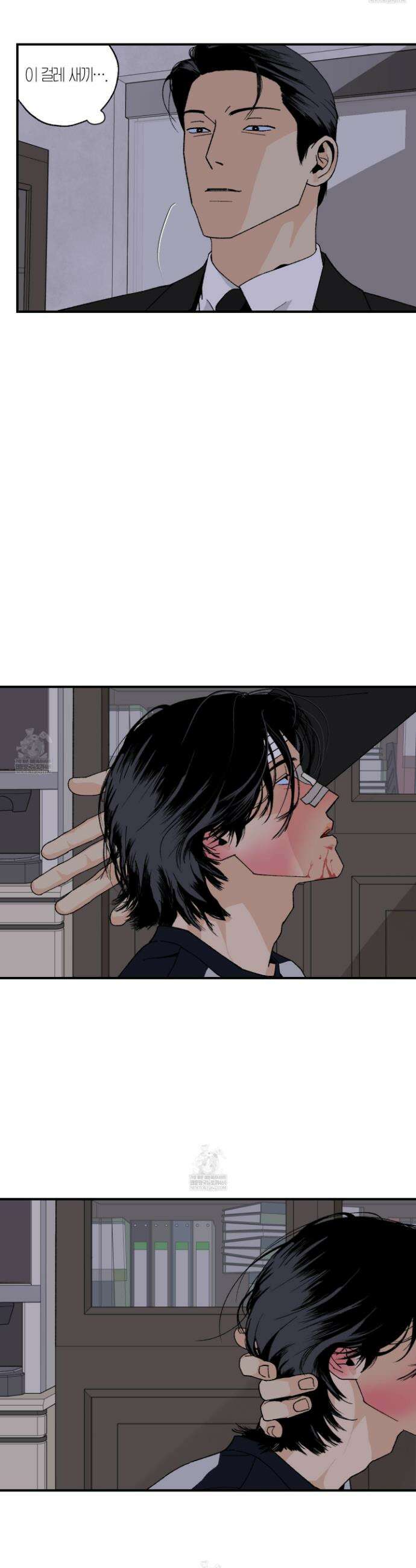 주의 평화 19화 9