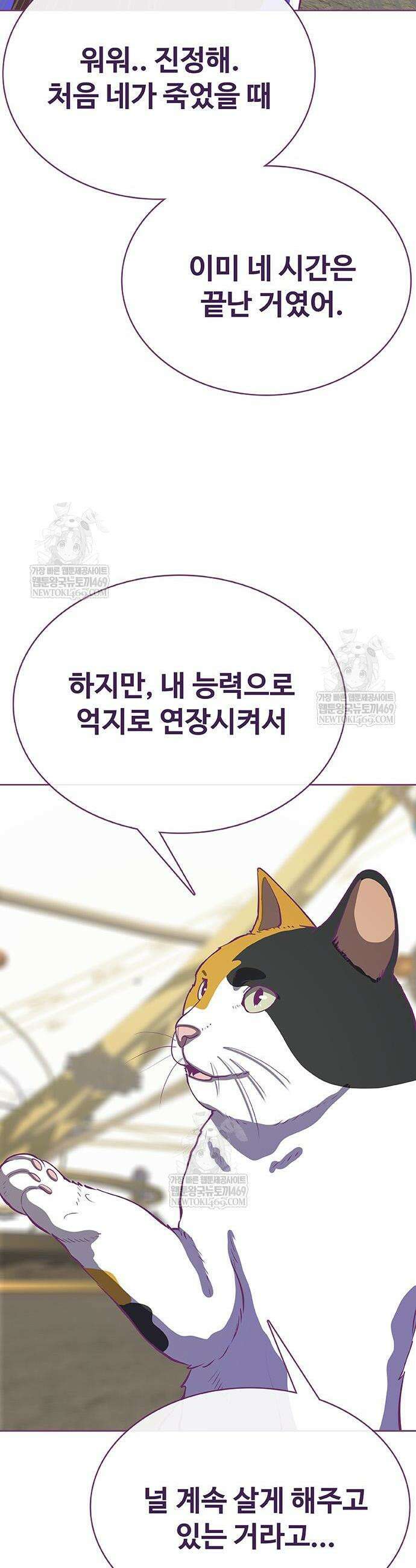 재입대만 7번째 44화 12