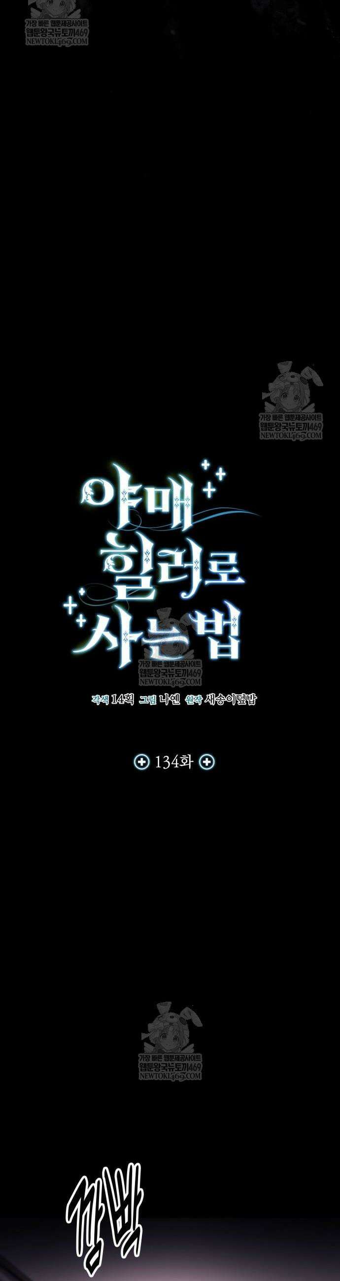 야매 힐러로 사는 법 134화 33
