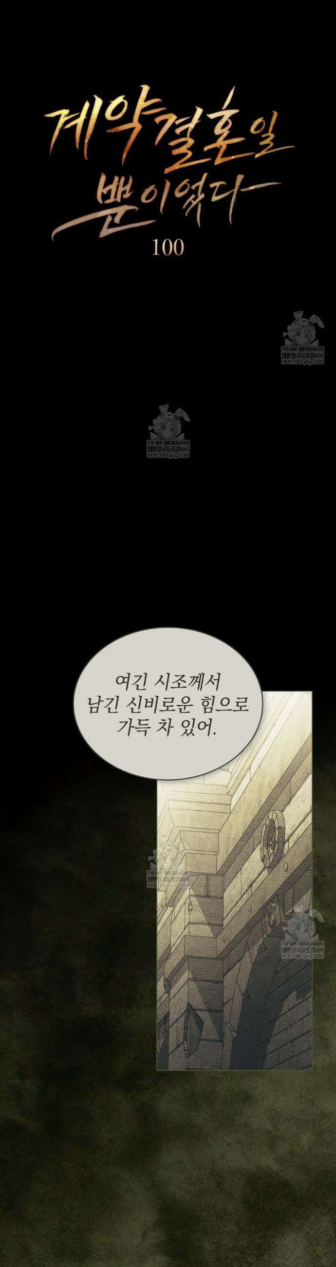 계약 결혼일 뿐이었다 100화 6