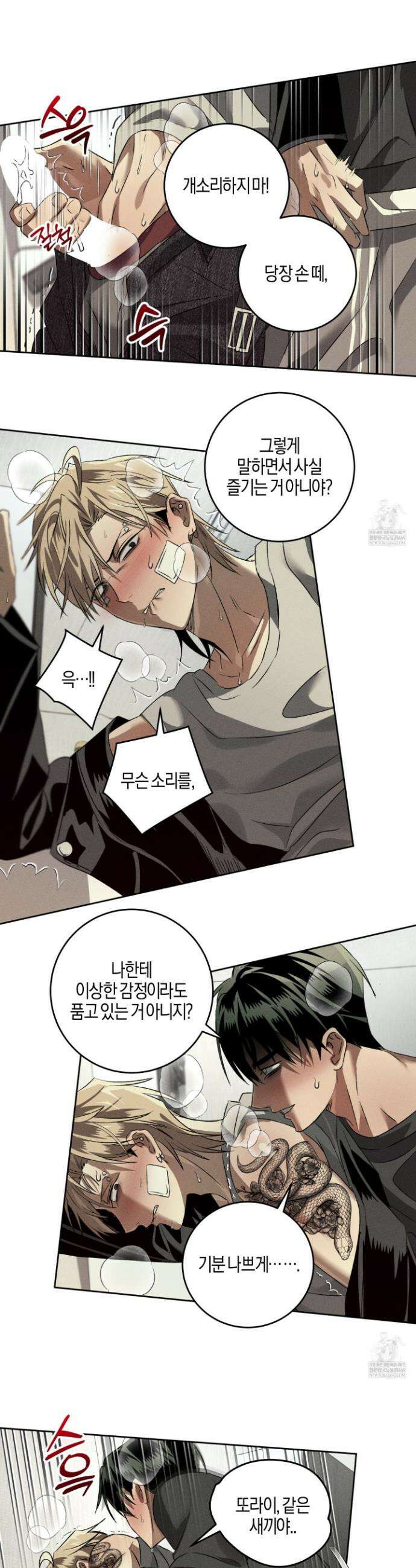 배교의 형제 11화 6