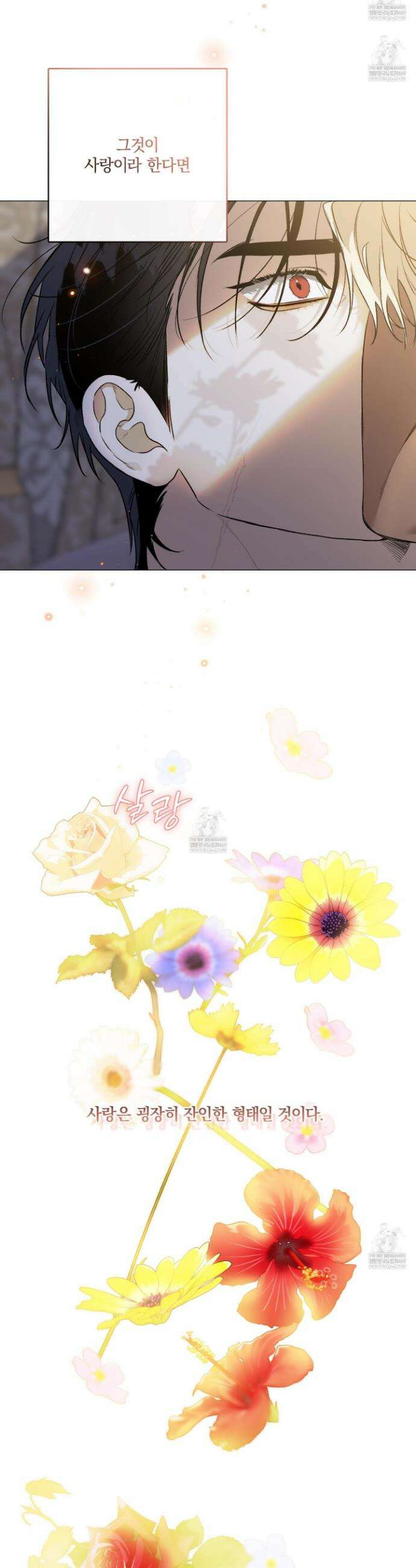 백야의 꽃길 13화 40