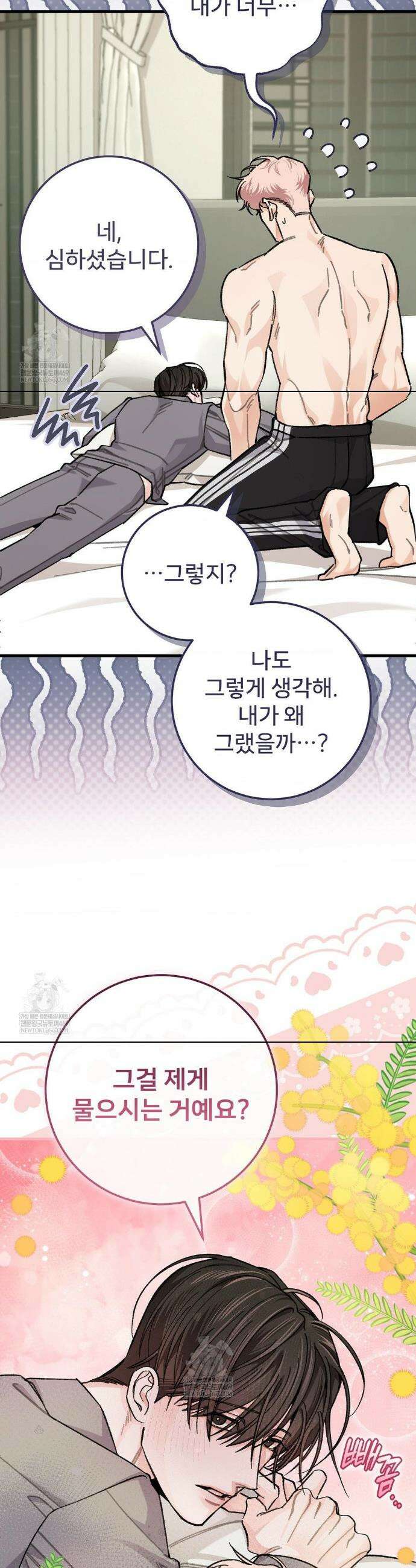 대표님이 취향입니다 36화 2