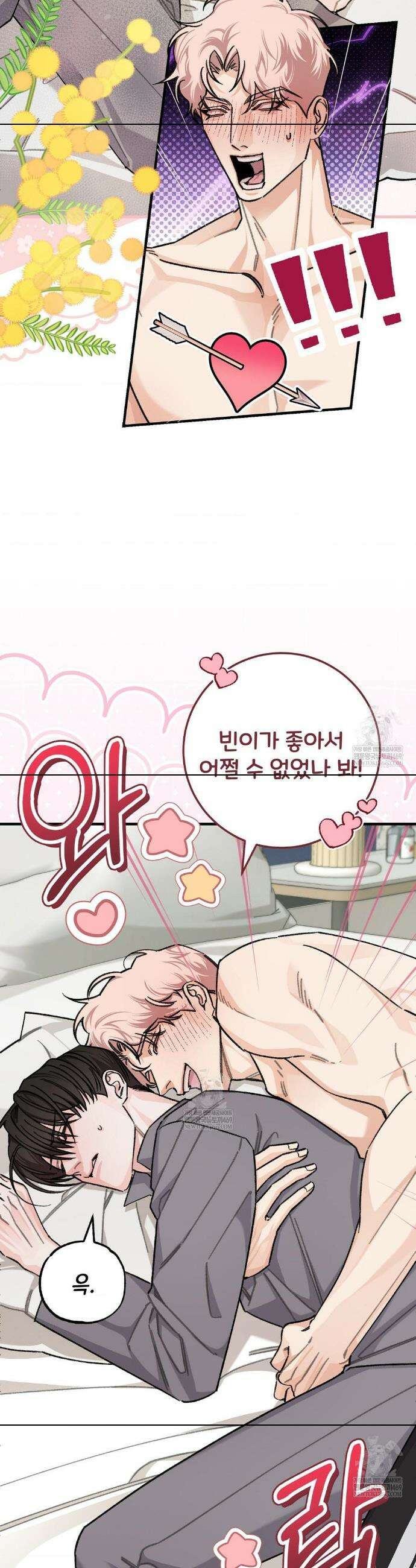 대표님이 취향입니다 36화 3
