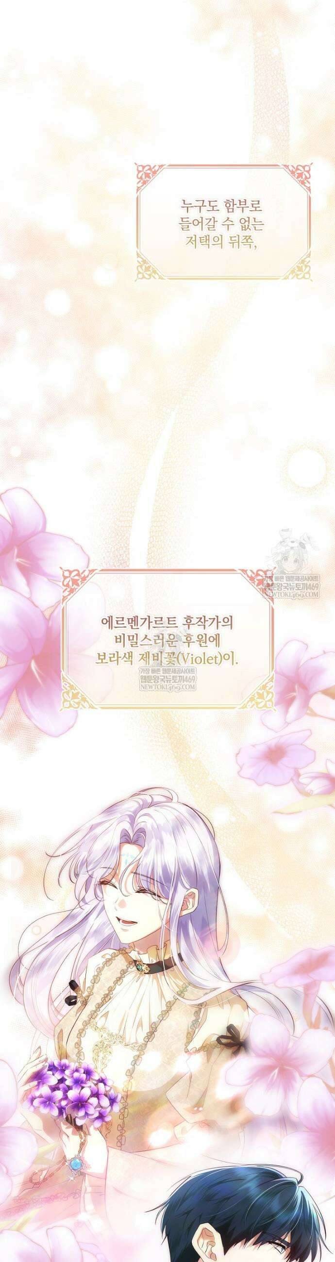 후원에 핀 제비꽃 91화 47