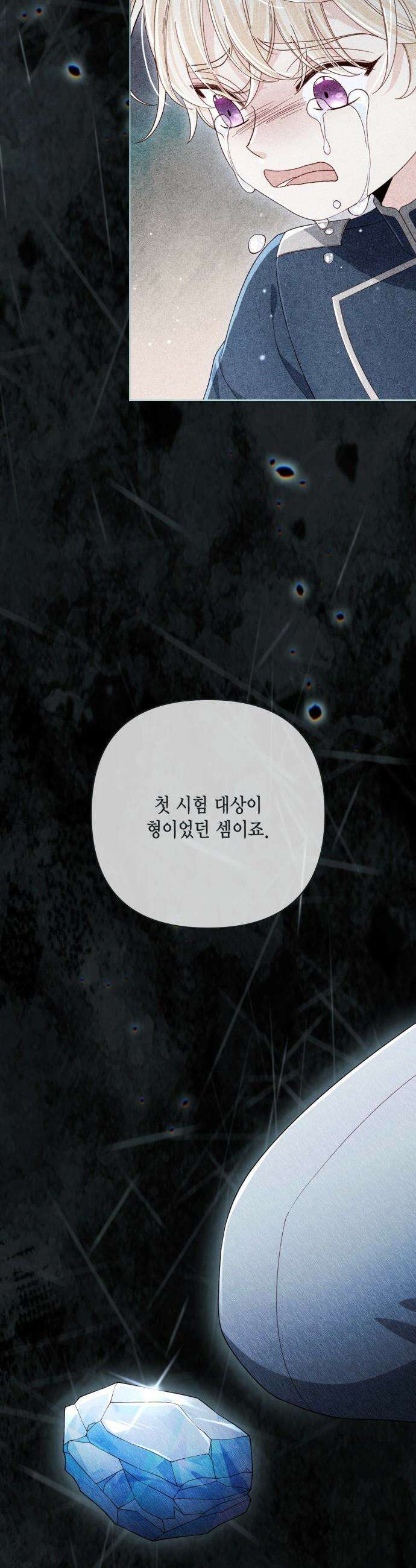 재혼 황후 - 247화(완결) 41