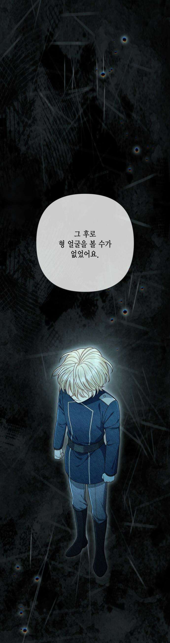 재혼 황후 - 247화(완결) 42