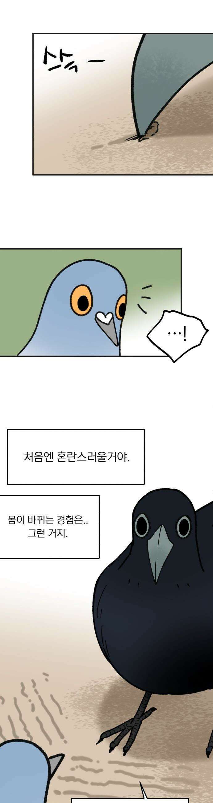 성북구 비둘기 이헌서 - 73화 5