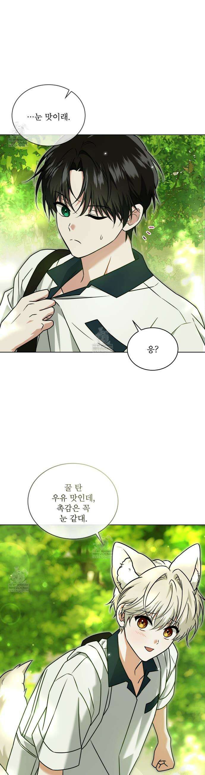 플린의 여우음료 63화 7