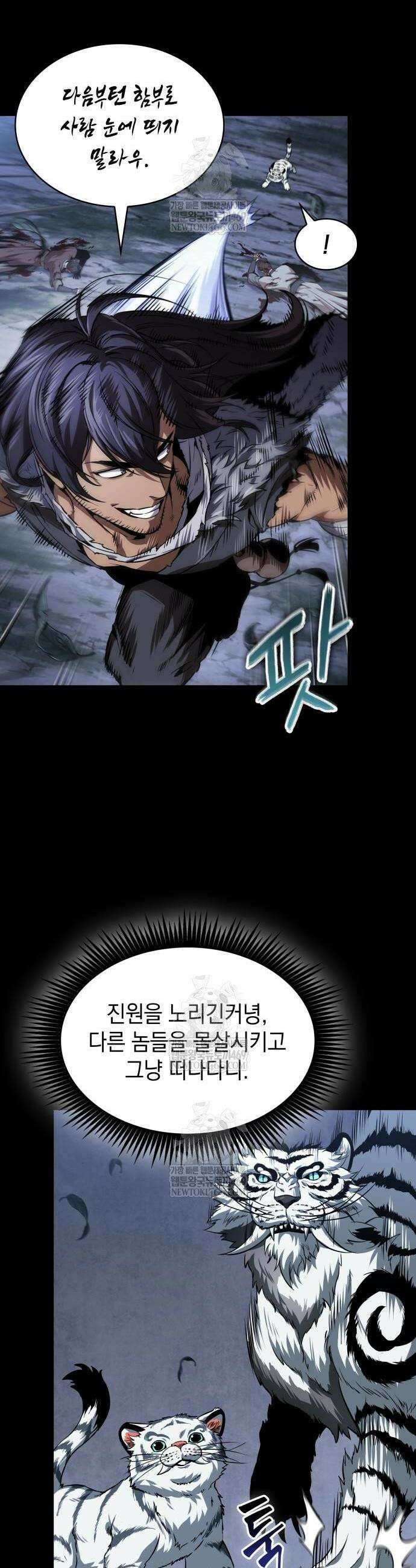 나노마신 306화 4