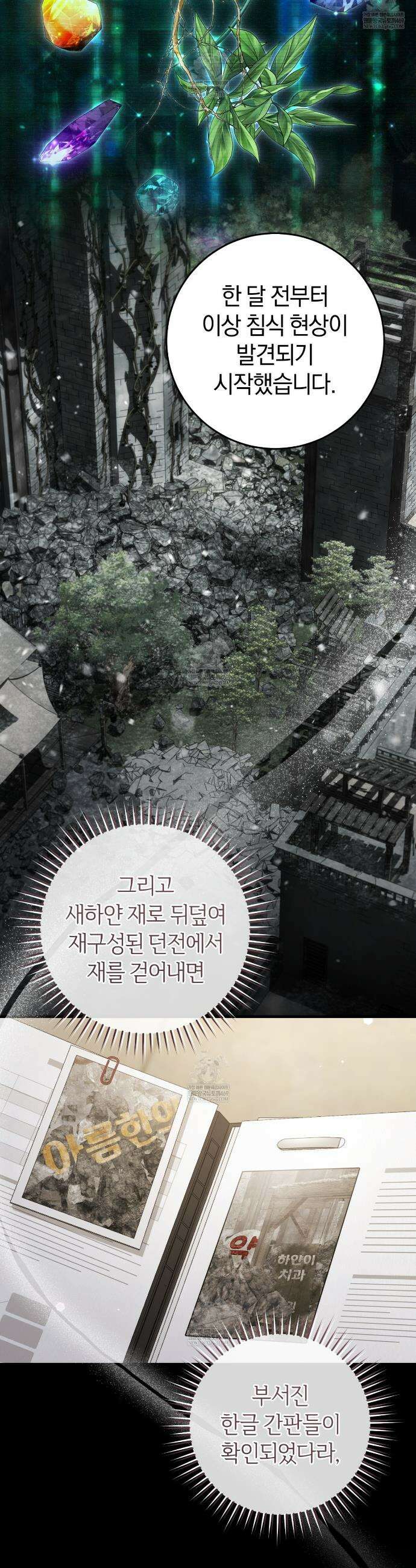 헌터는 조용히 살고 싶다 49화 8