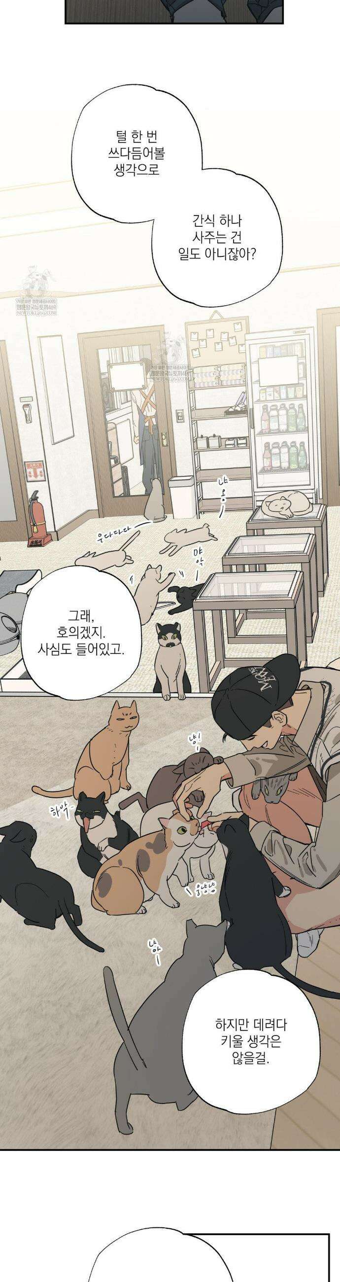 상호간택 13화 5