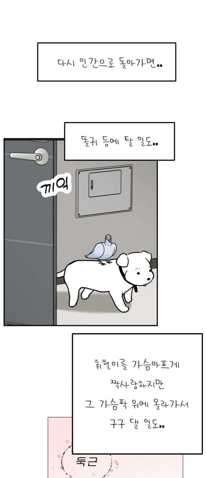성북구 비둘기 이헌서 - 76화 5