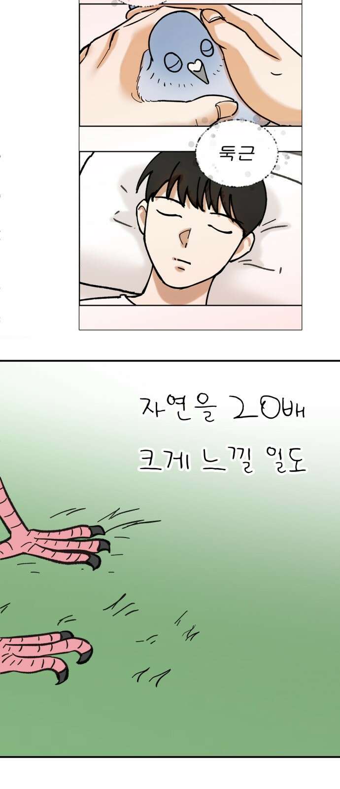 성북구 비둘기 이헌서 - 76화 6