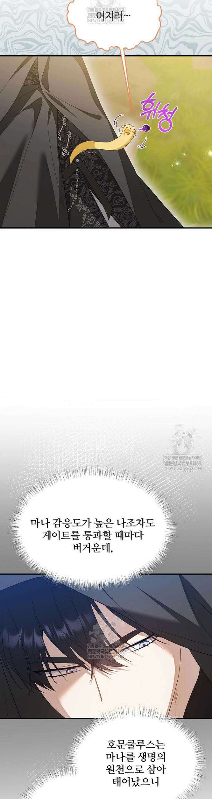 흑막 공작이 계약 결혼을 제안했다 96화 2
