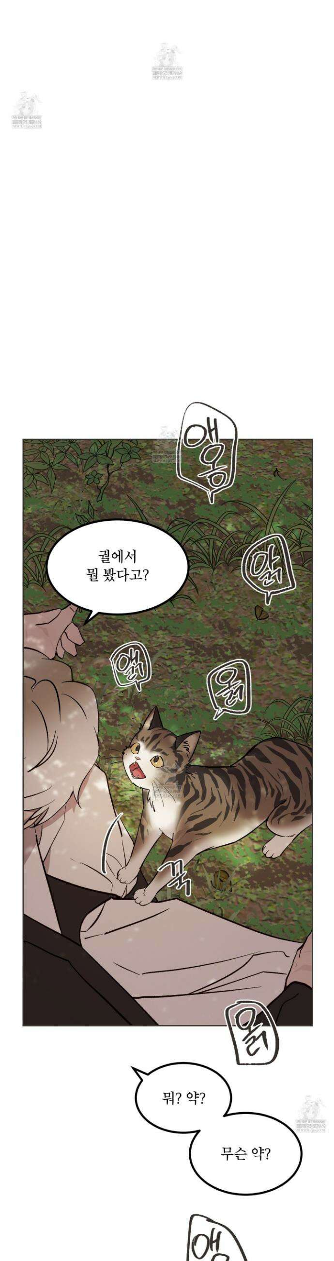 백호의 왕 38화 2