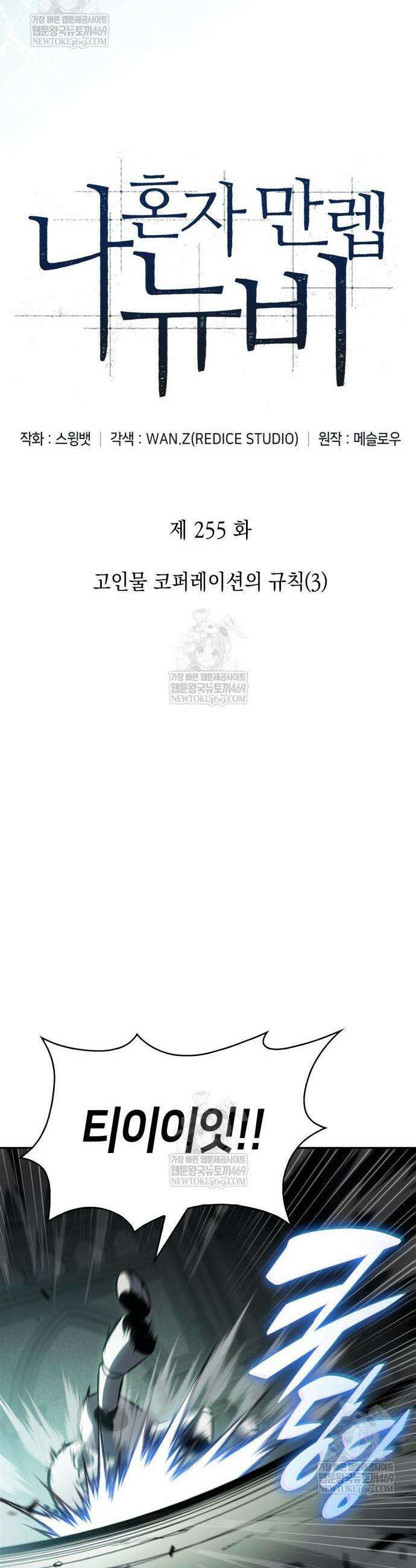 나 혼자 만렙 뉴비 255화 11