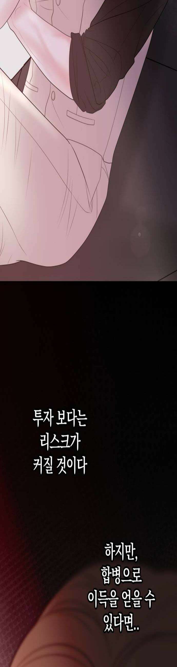 결혼은 당신 형과 48화 아들을 낳으렴 2