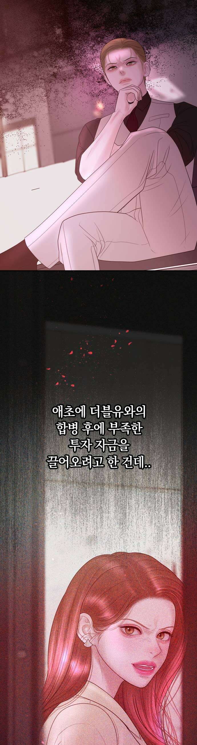 결혼은 당신 형과 48화 아들을 낳으렴 5