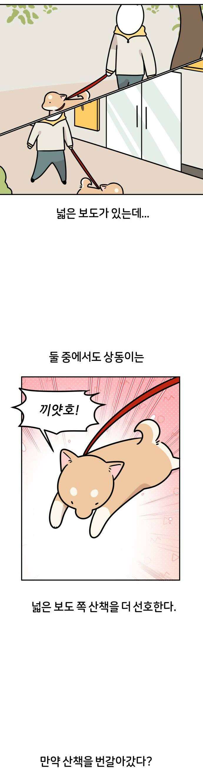 시바, 만만치 않다 87화 이런 저런 이야기 2