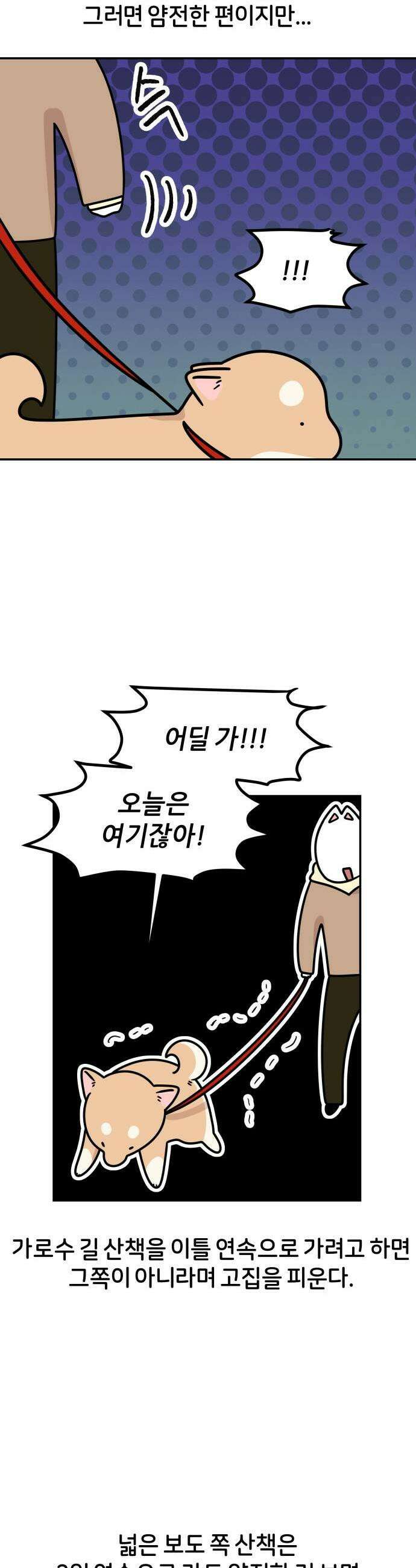 시바, 만만치 않다 87화 이런 저런 이야기 3