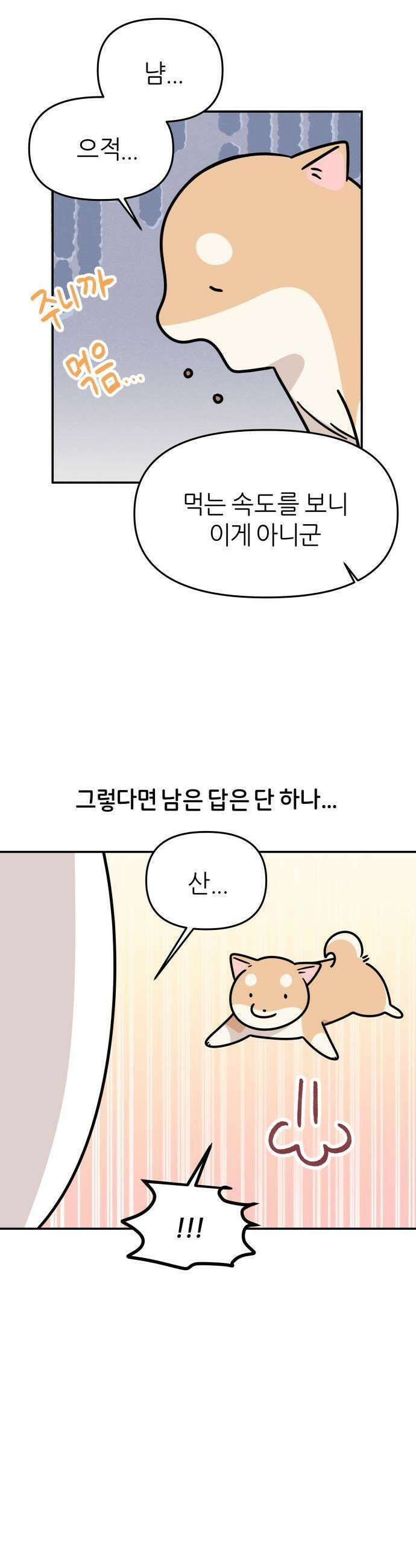 시바, 만만치 않다 91화 재밌었던 산책 3