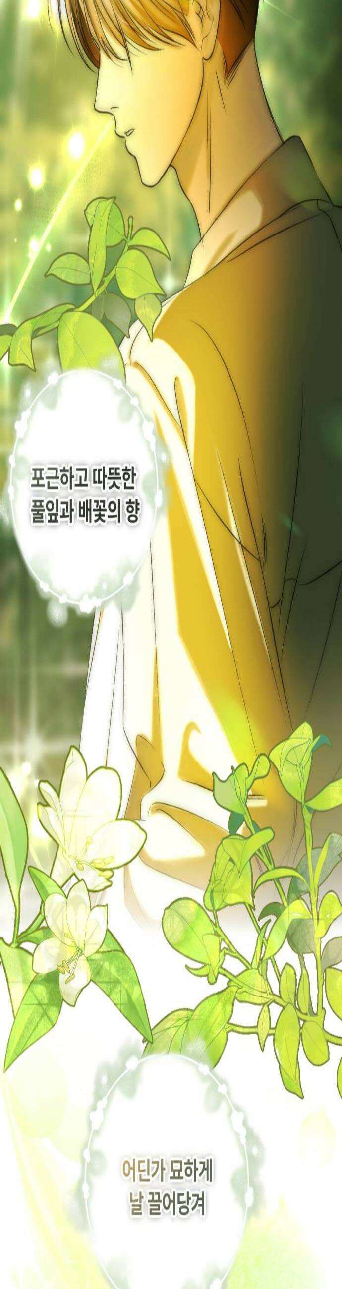 향기로운 계약관계 2화 페어플라워1 3