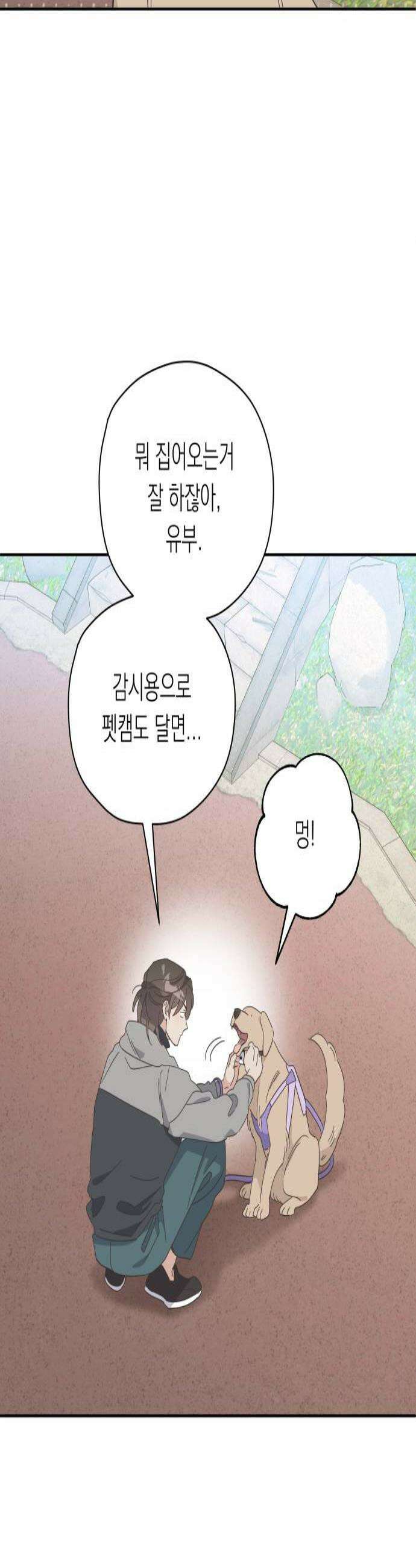 비터 스윗 홈 16화사고였습니다 3