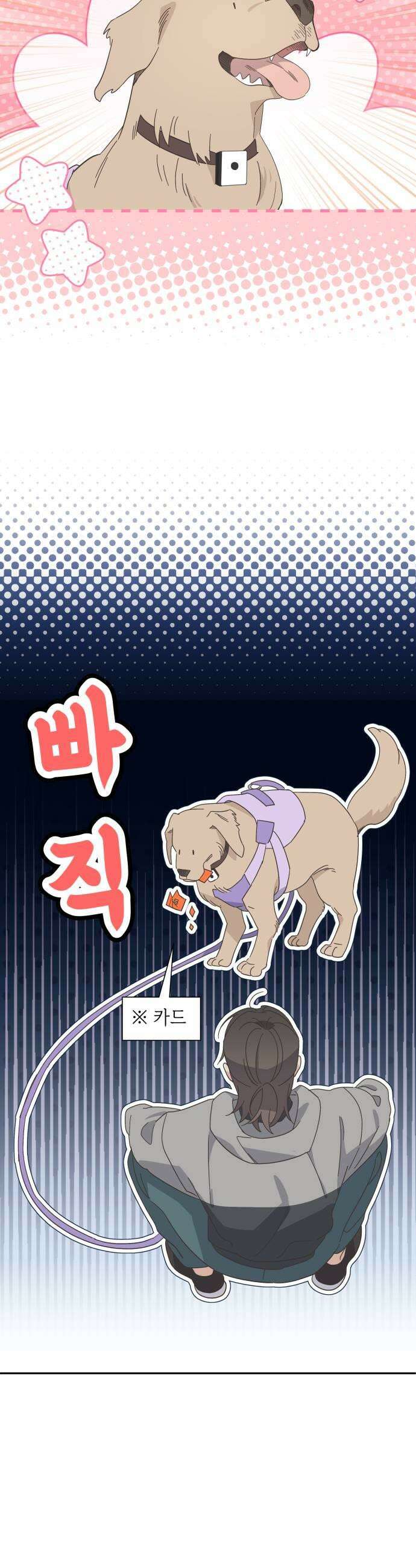 비터 스윗 홈 16화사고였습니다 5