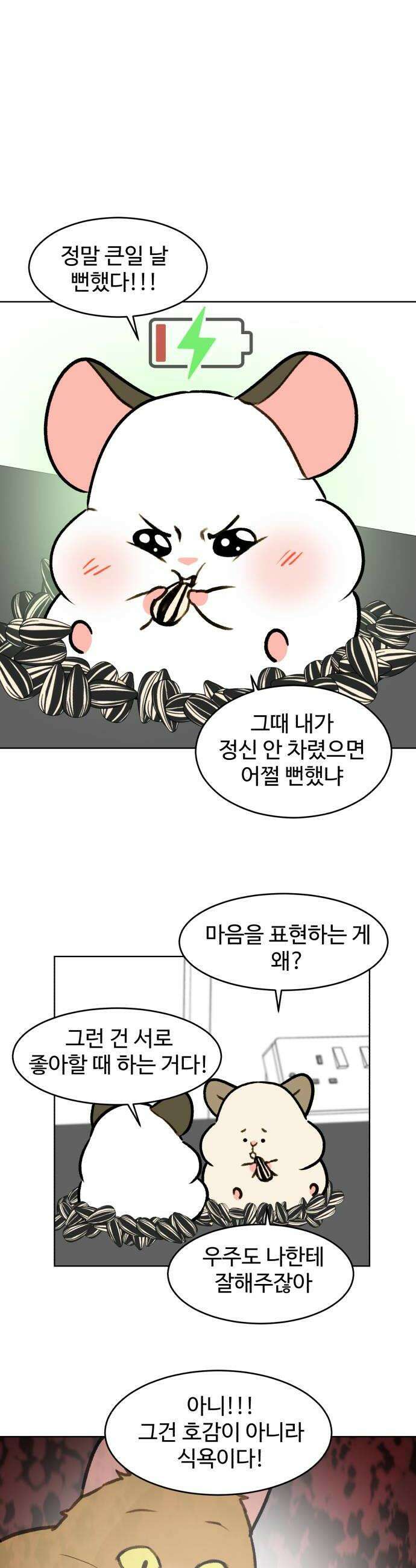 옹달샘 프로젝트 39화 달이 바보 아니다 6