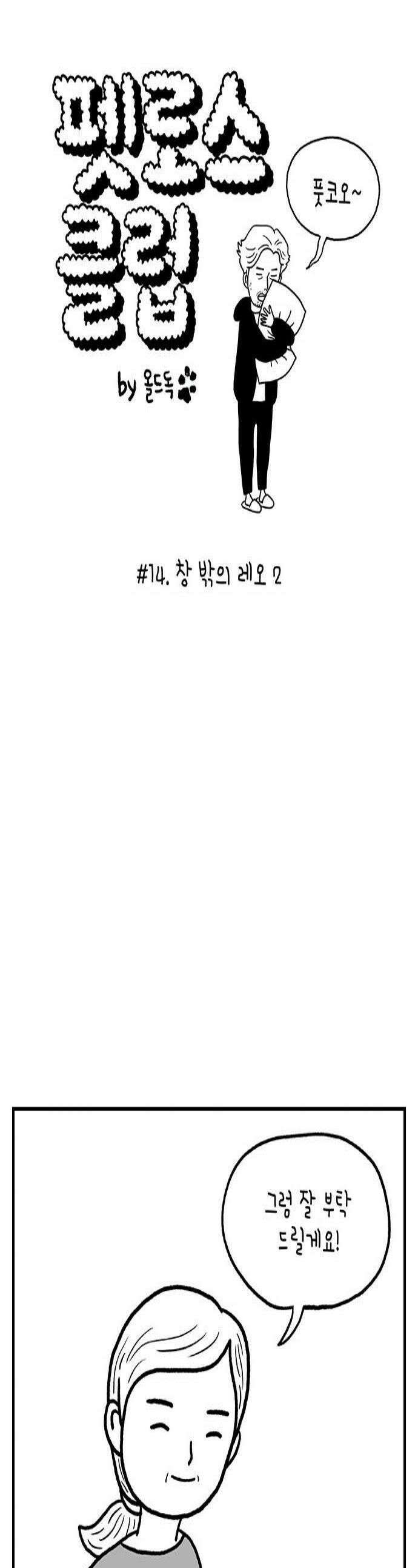펫로스클럽 14 창 밖의 레오 2 1