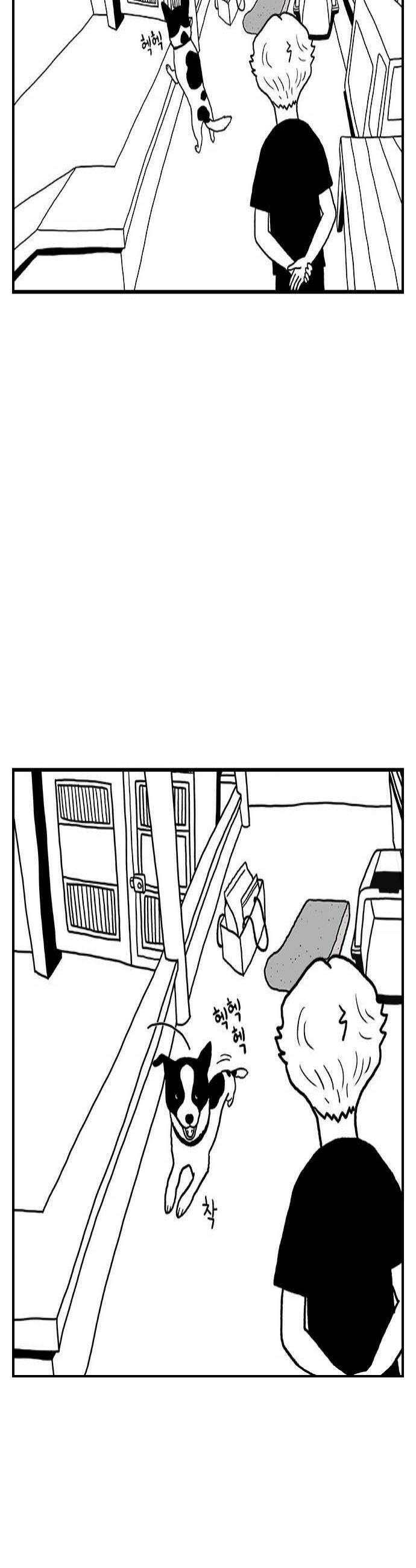 펫로스클럽 14 창 밖의 레오 2 4