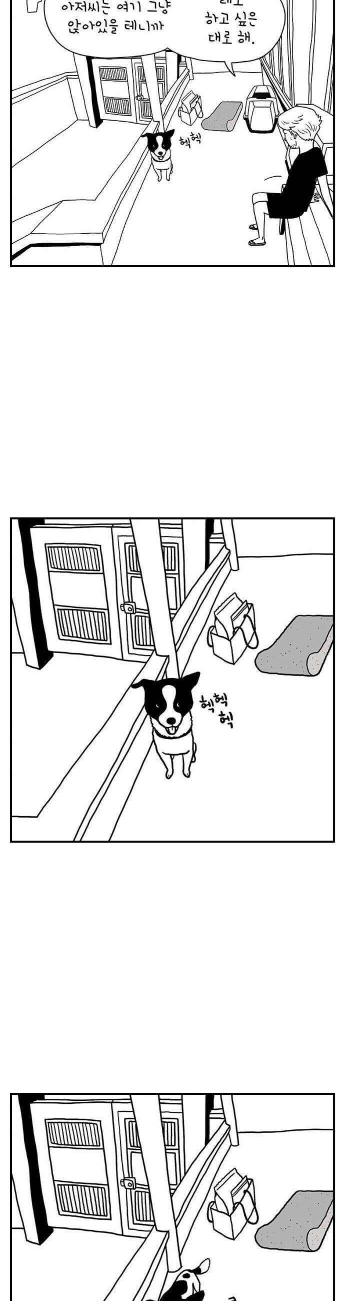 펫로스클럽 14 창 밖의 레오 2 6