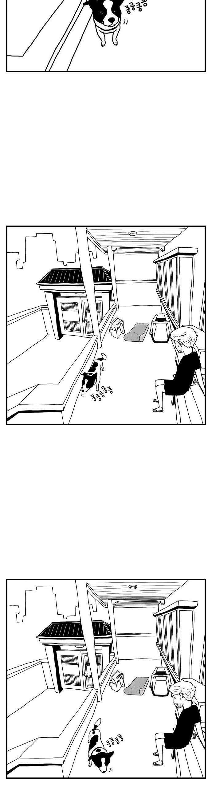 펫로스클럽 14 창 밖의 레오 2 7