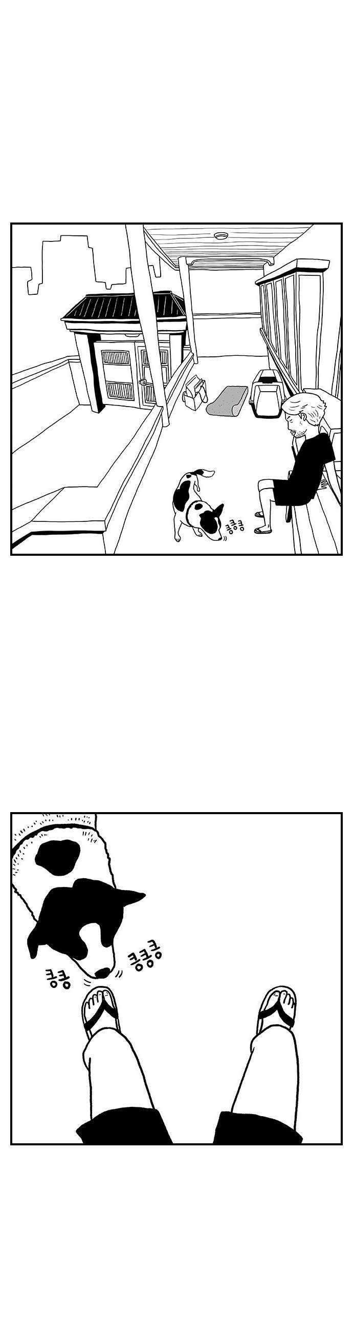 펫로스클럽 14 창 밖의 레오 2 8