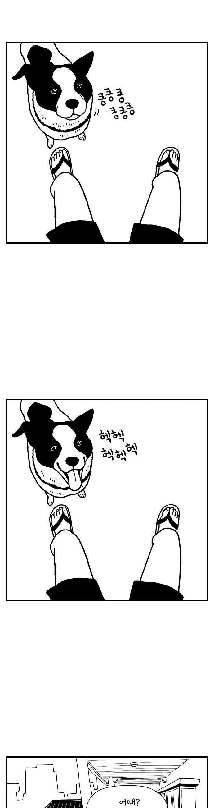 펫로스클럽 14 창 밖의 레오 2 9