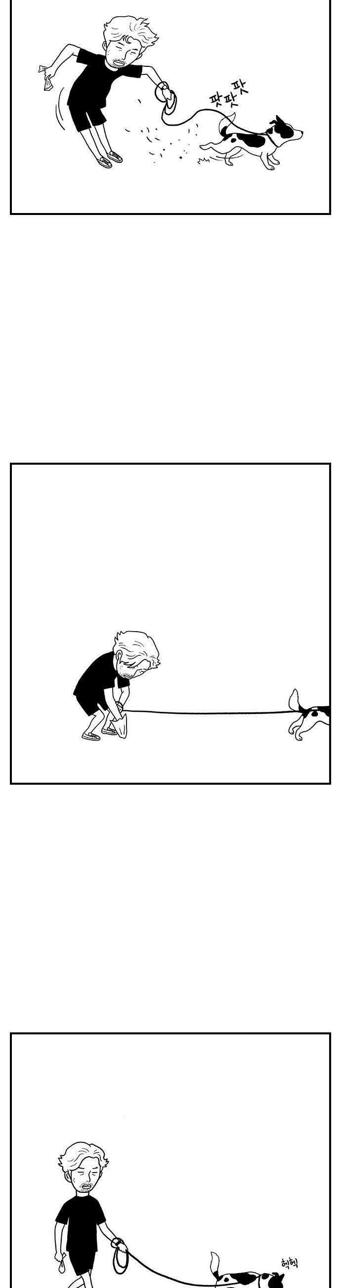 펫로스클럽 14 창 밖의 레오 2 14