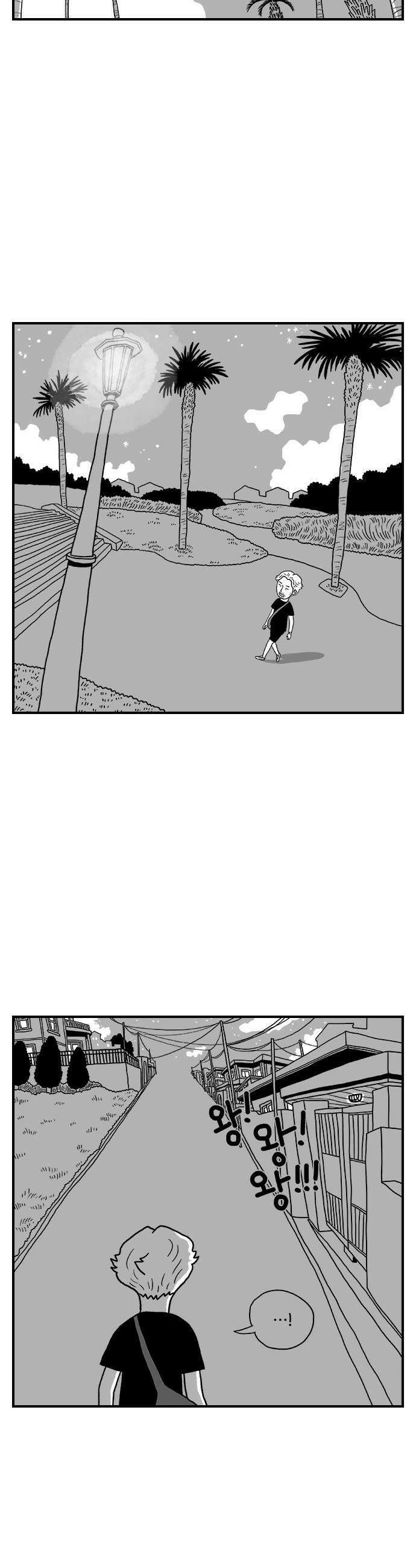 펫로스클럽 14 창 밖의 레오 2 23