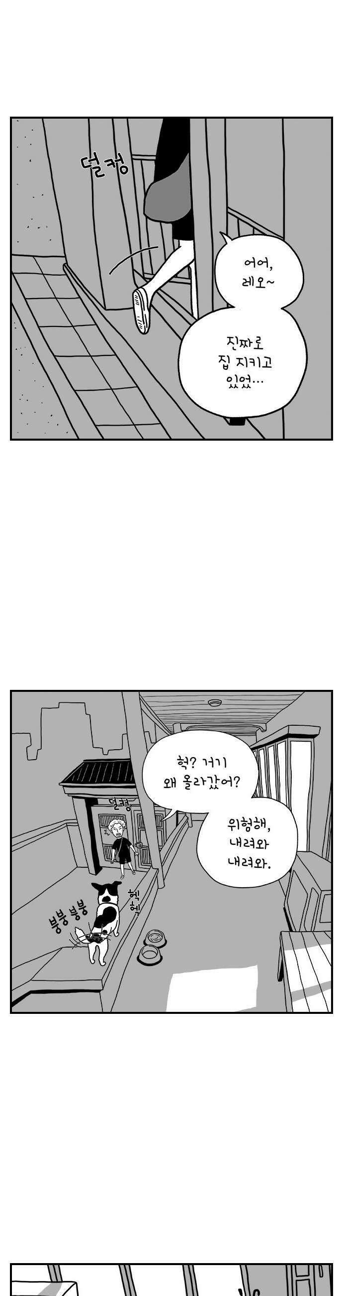 펫로스클럽 14 창 밖의 레오 2 24